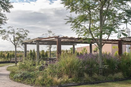 Gran pérgola de cañas secas que se armaron directamente en el suelo sin modificar. Flanquean los laterales de la pérgola tres árboles ejemplares de ibirá pitá. Paisajismo: Mariana Hogg (Alalma).