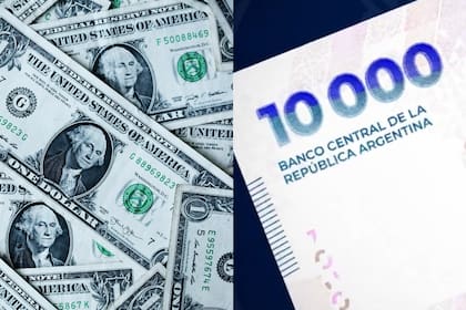 Alargar plazos en pesos y acelerar la captación de dólares, la estrategia del Gobierno