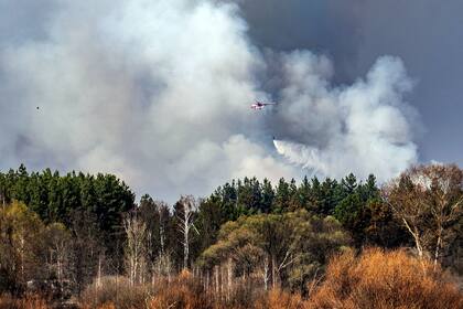 Alarma radioactiva en Ucrania: bomberos luchan contra varios incendios en Chernobyl