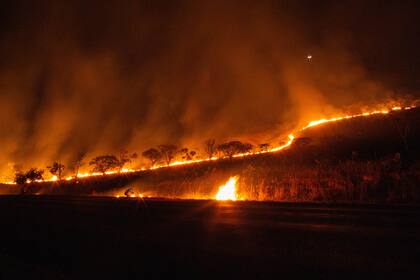 El Pantanal de Brasil sufre un récord histórico de incendios