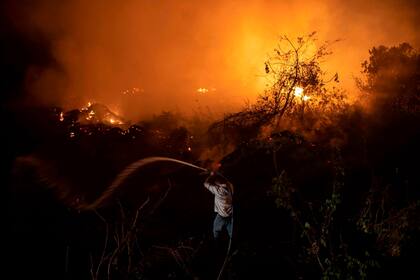 El Pantanal de Brasil sufre un récord histórico de incendios