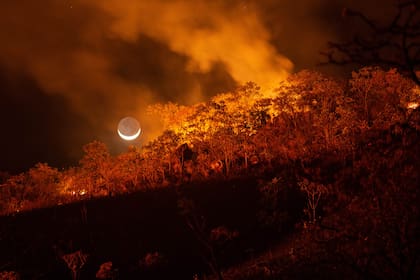 Incendios apocalípticos como los de Amazonas o el Pantanal son cada vez más habituales