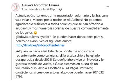Alaska's Forgotten Felines encontró un voluntario para trasladar a Luna hasta Las Vegas gracias a su publicación de Facebook (Facebook / Alaska's Forgotten Felines)