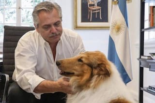 Murió Dylan, el perro de Alberto Fernández y el expresidente lo despidió
