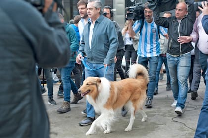 Alberto Fernández sacó a pasear a su perro Dylan