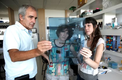 Alberto Kornblihtt, Anabella Srebrow y Ana Fiszbein