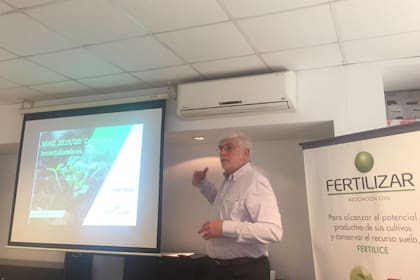 Alberto Morelli, de Maizar