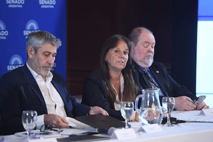 Alberto Trimboli, Marina Charpentier y Andrés Mega en el Senado