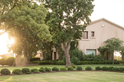 Alcanza de 1 a 2 metros, tanto de ancho como de alto. Esto es algo que debe ser tenido en cuenta a la hora de diseñar.