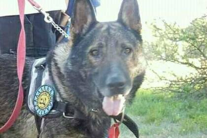 Alcón llevaba un tiempo con la salud debilitada