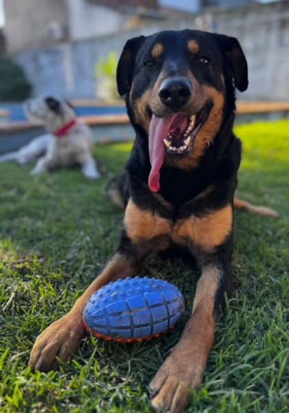 Aldo es un alma libre que irradia felicidad.