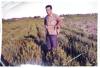 Aldo, muy joven, cuando comenzó con su propia plantación de orégano. "Empecé con tractores y herramientas prestadas", cuenta.