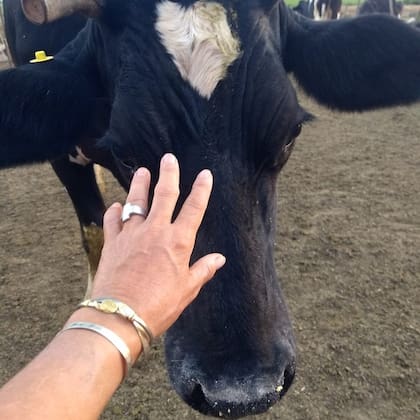 Alejandra Badino: “Salieron del campo todas las vacas que tenía. Algunas las alquilé a otro tambo cercano. El resto tuve que venderlas para cancelar deudas"