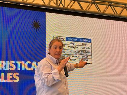 Alejandra Gribaldo, gerenta de Investigación y Desarrollo del Centro de Investigación de Cebada Cervecera en Tres Arroyos