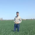 De cara a la siembra, los productores de trigo y cebada están entre el alivio y la cautela
