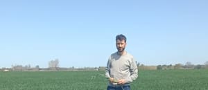 De cara a la siembra, los productores de trigo y cebada están entre el alivio y la cautela
