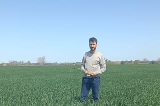 De cara a la siembra, los productores de trigo y cebada están entre el alivio y la cautela