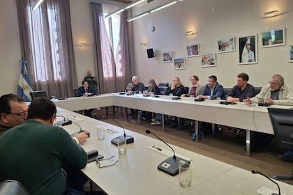 Alejandro Álvarez encabezó la reunión con los universitarios