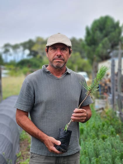 Alejandro Camporini, el creador del emprendimiento