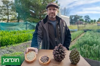 La historia del ingeniero forestal que apostó 25 años a un sueño y ya lo produce en la Argentina