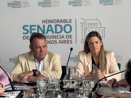Alejandro Cellillo (UCR – Somos Buenos Aires) y Sabrina Sabat (Unión y Libertad)