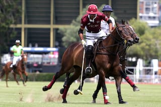 Argentino Abierto de polo. El riesgo de "descenso" de un histórico: La Aguada
