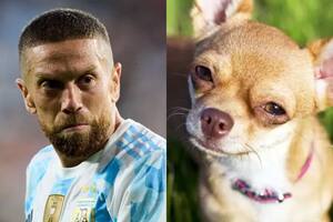 El hilo viral que compara a los jugadores de la selección argentina con perros