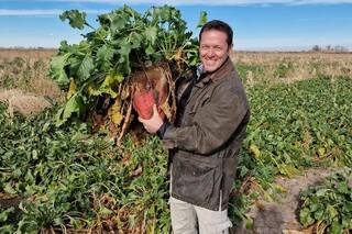 El cultivo que transformó un campo y permite producir carne a solo US$0,50 el kilo