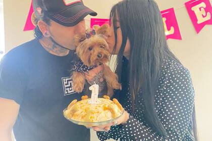 Alejandro quiso cuidar a su perrita lo mejor posible.