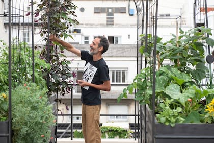 Alejandro Rodríguez, de Lombrices Felices, poniendo a punto el sector de la huerta de esta terraza a medida de su dueña.