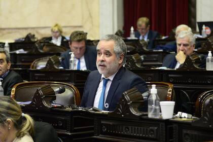 Alejandro "Topo" Rodríguez durante una sesión de la Cámara de Diputados