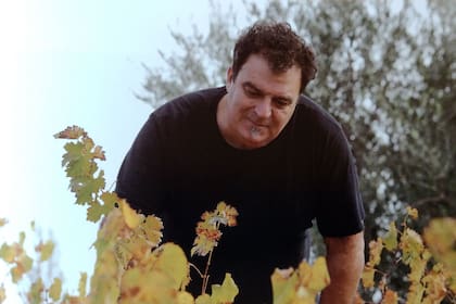 Alejandro Vigil en el viñedo