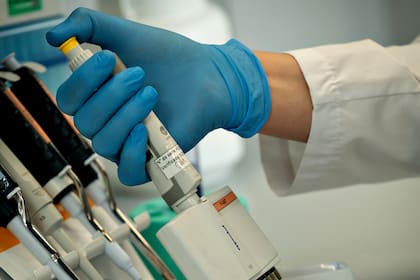 Alentadores resultados preliminares de un suero anti-Covid desarrollado por científicos argentinos