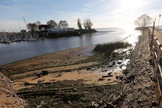 Tras la intoxicación masiva de los nadadores en Uruguay, ¿qué tan contaminado está el Río de la Plata?