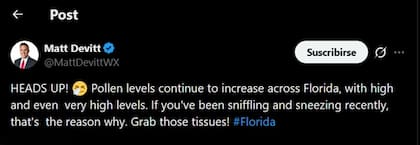 Alerta por niveles de polen elevados en Florida