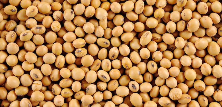 Ley de semillas: Gobierno y campo avanzan en el diálogo técnico, pero persisten diferencias clave sobre uso propio y propiedad intelectual