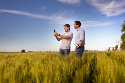 Alertan que la cuota de la Argentina en el mercado agroalimentario mundial fue cayendo (pasó del 2,7% en 2011 al 2,2% una década después) y las exportaciones a la Unión Europea, por ejemplo, bajaron 33% en valor entre 2022 y 2023
