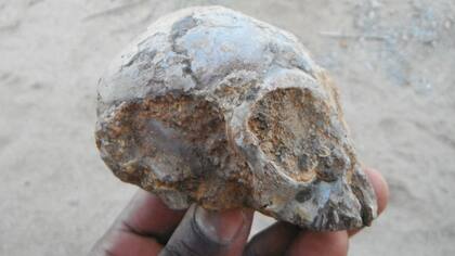 Alesi contaba con un año y cuatro meses