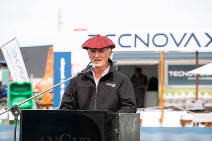 Alfonso Bustillo, presidente de la Asociación Argentina de Angus