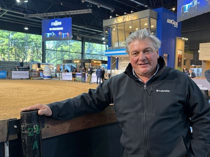 Alfredo Bellocq dirige cabaña Santa Rosa, con 300 vacas de pedigree