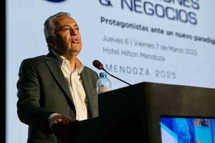 Alfredo Cornejo, gobernador de Mendoza