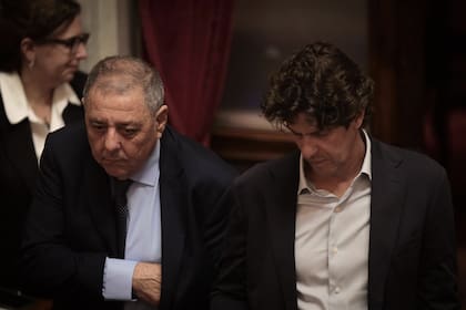 Alfredo de Angelis y Martín Lousteau en el recinto del Senado