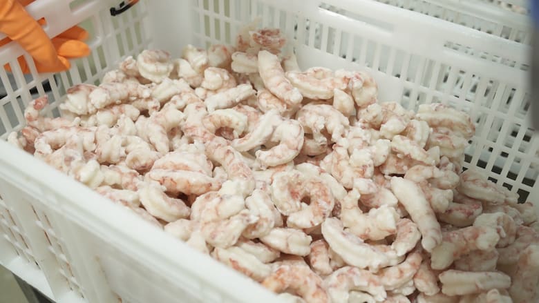 Pesca: el sector relativiza el crecimiento exportador y advierte por una crisis de rentabilidad