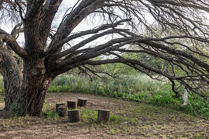 Algo tan simple como un grupo de troncos es todo lo que se requiere. Ni piedras, ni mesas, ni sillas. En este caso, con vista a la Virgen