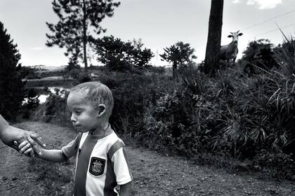Alguna vez pensamos que era una buena idea cultivar nuestros alimentos con veneno.