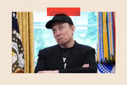 Algunas chicas hablaron de las posturas pronatalistas de Elon Musk