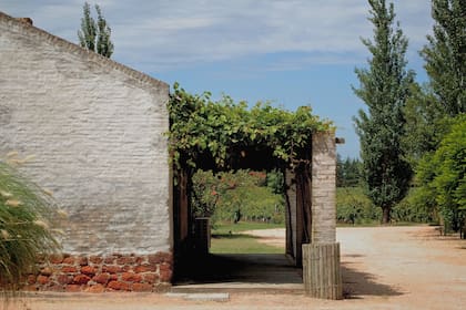 Algunas construcciones de la bodega Juanicó son monumentos históricos