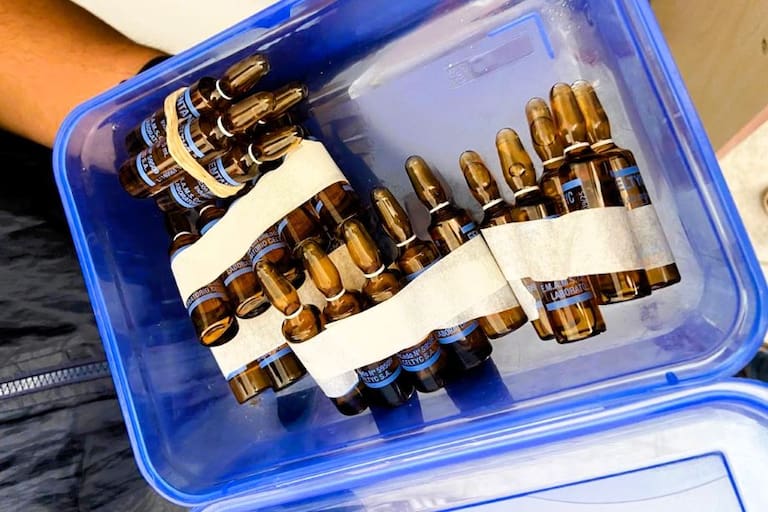 Algunas de las ampollas de fentanilo incautadas en los allanamientos al enfermero condenado