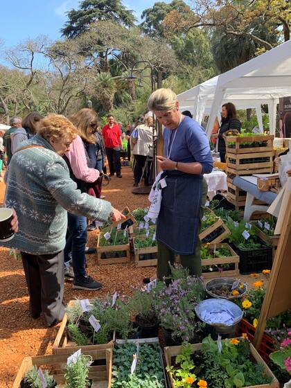 Algunas de las especies fueron cultivadas especialmente por el personal del Jardín Botánico