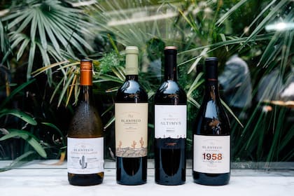 Algunas de las etiquetas de El Esteco que se degustaron en el almuerzo.